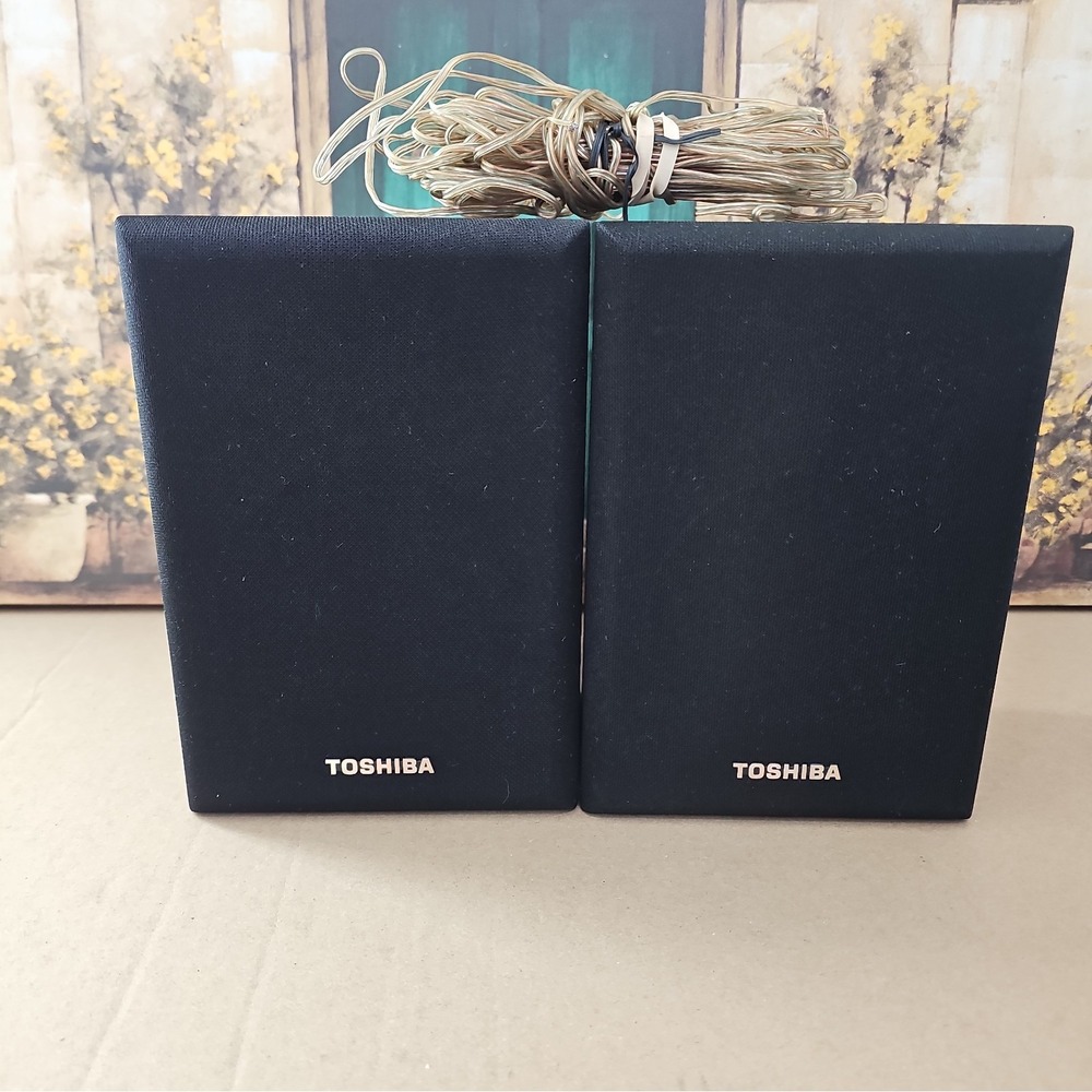 Toshiba SS-SR90 Compact Bookshelf Surround Speakers - Vintage